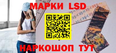 ПСИЛОЦИБИНОВЫЕ ГРИБЫ Кулебаки
