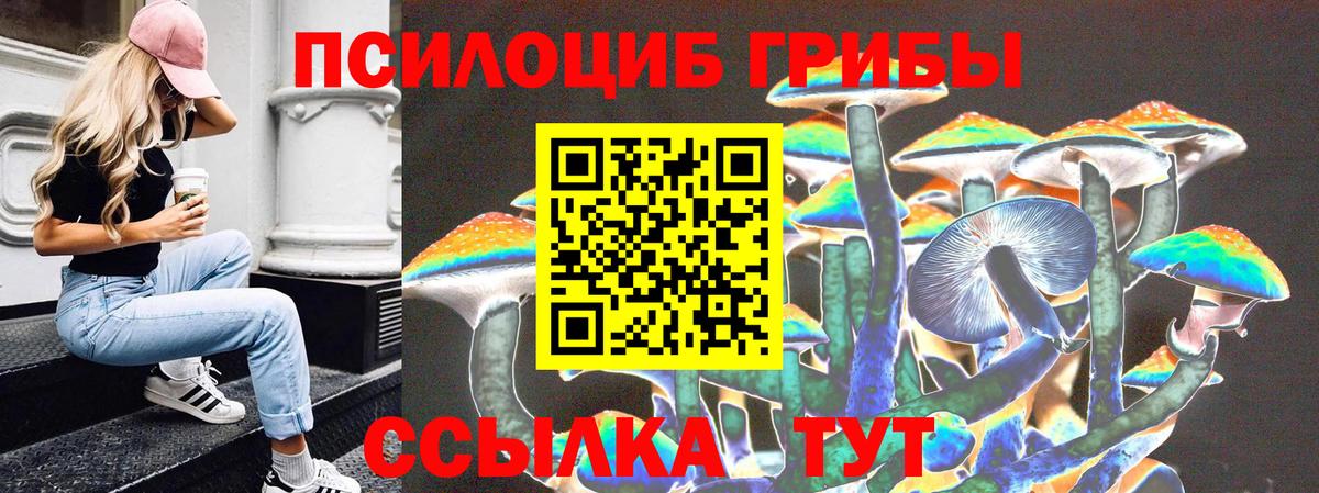 Псилоцибиновые грибы прущие грибы Красноармейск