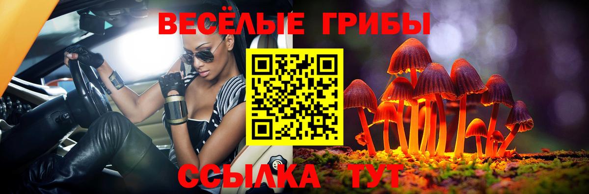 Красноармейск  Псилоцибиновые грибы ЛСД  Вход с VPN 